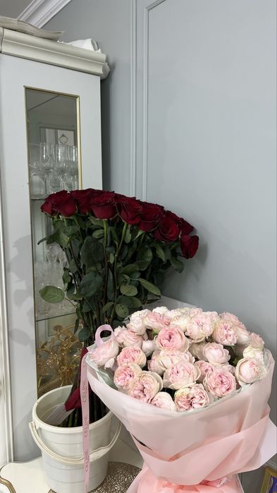 цветы Celine,  метровые розы