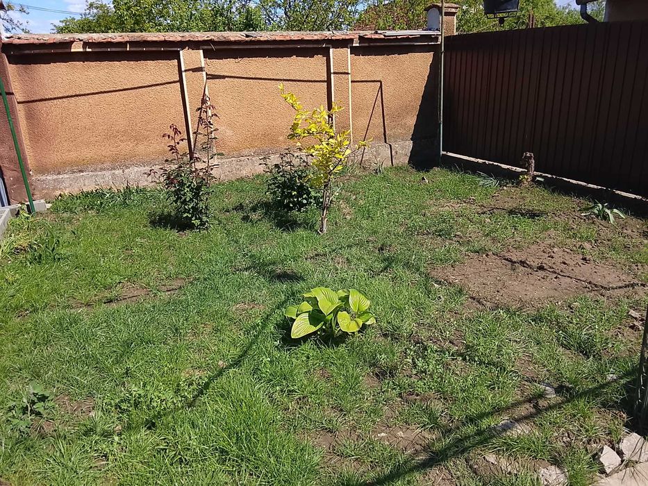 Vind casa cu gradina in loc.Nadab suprafața totală 1347 m.p