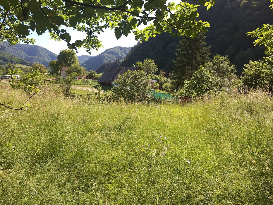 Vînd teren la munte în  Râu Sadului jud.Sibiu intravilan pozitie farte buna