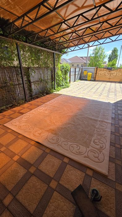 Клем, жағдайы жақсы