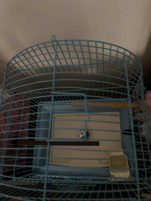 Colivie papagali L30 x l22 x î37