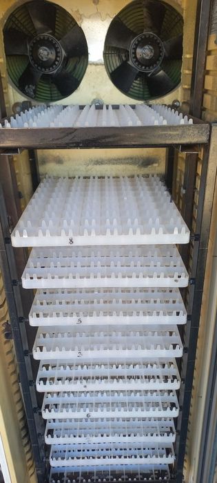 Инкубатор сатылады