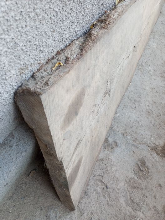 Продам карагач цельный