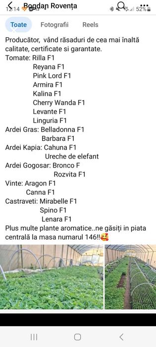 Producator, vand rasaduri