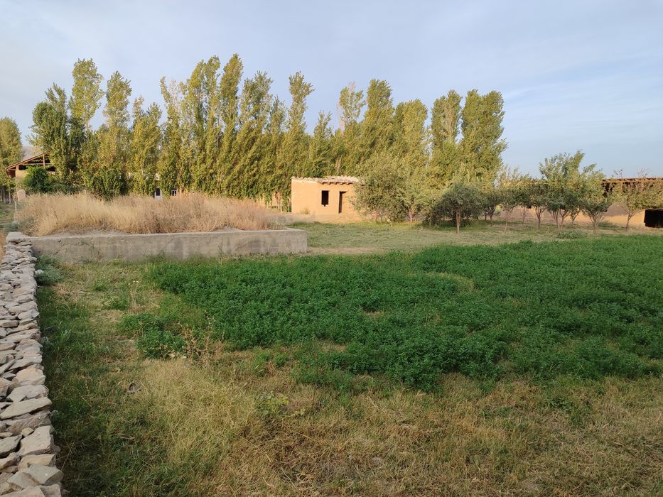 Джиззах вилояти Ш. Рашидов туман Куебошда Участка сотилади