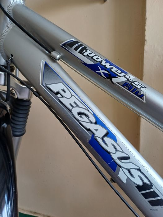 Bicicleta Pegasus