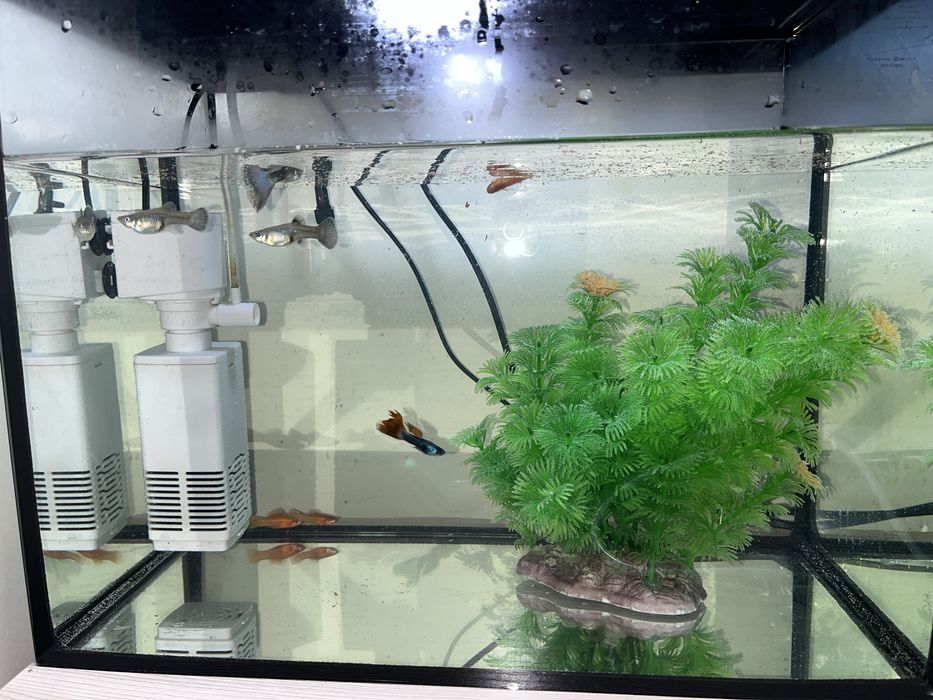 Аквариум 20 л-с рыбками