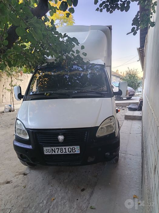 Gazel bartavoy sotiladi holati zur