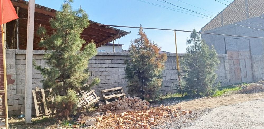 Yer sotiladi oxunboboyev 4 sotix