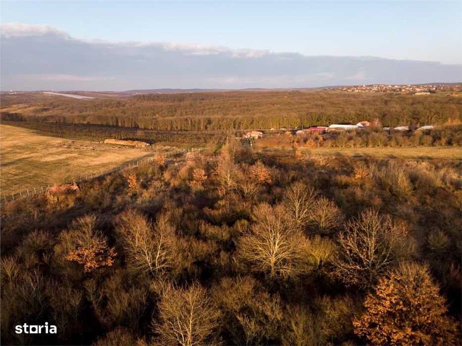 Reco Teren intravilan in Saldabagiu de munte 4333MP