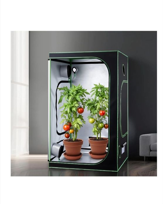 Cort  cultura hidroponica