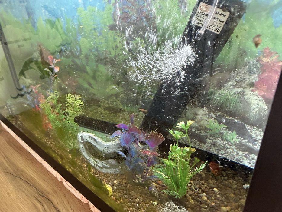 Аквариум 50 литров