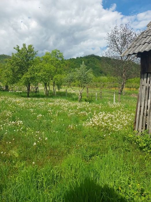 Doua case in zona linistita 1500Mp