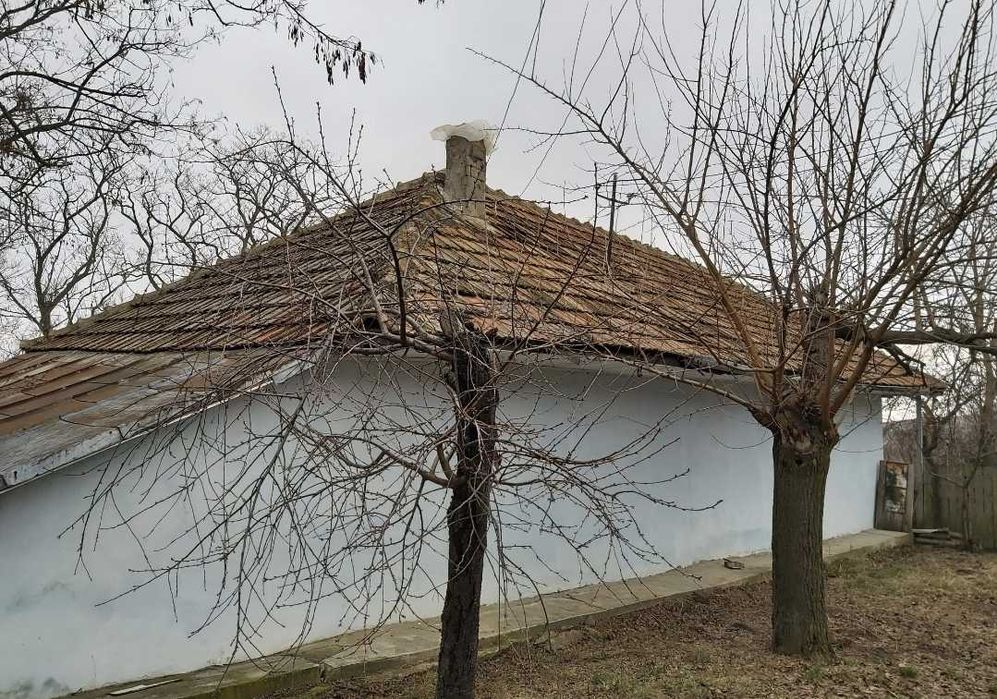Vând casă cu anexă gospodarească, gradină și pădure salcămi maturi.
