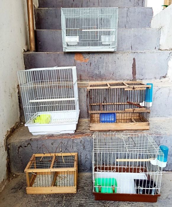 Qafas valer sotiladi