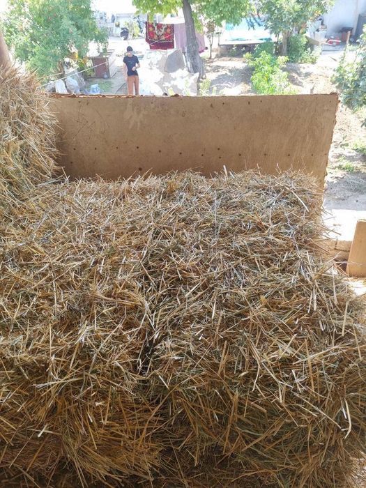 Сомон пресс фаргона