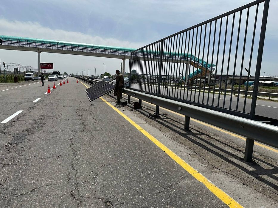 50 dona bor tayyor zabor