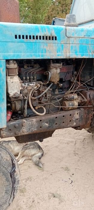 Срочни пул зарур МТЗ 80Х сотилади