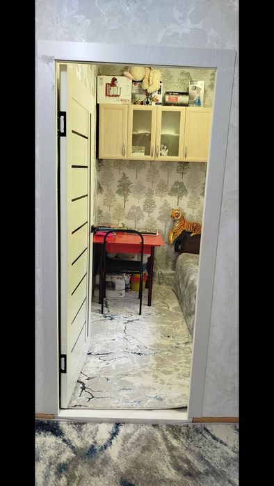 2/2/4 Феруза, кафе Балик, Корзинка