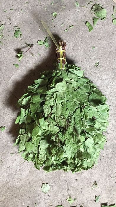 Веники берёза дуб пихта ТОЛЬКО ОПТОП !!!