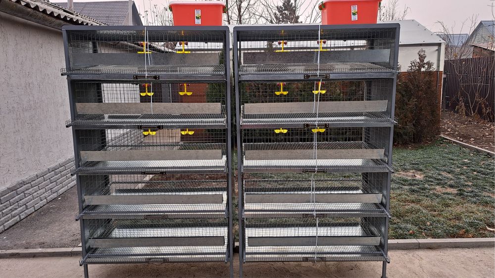 Клетки для перепелов