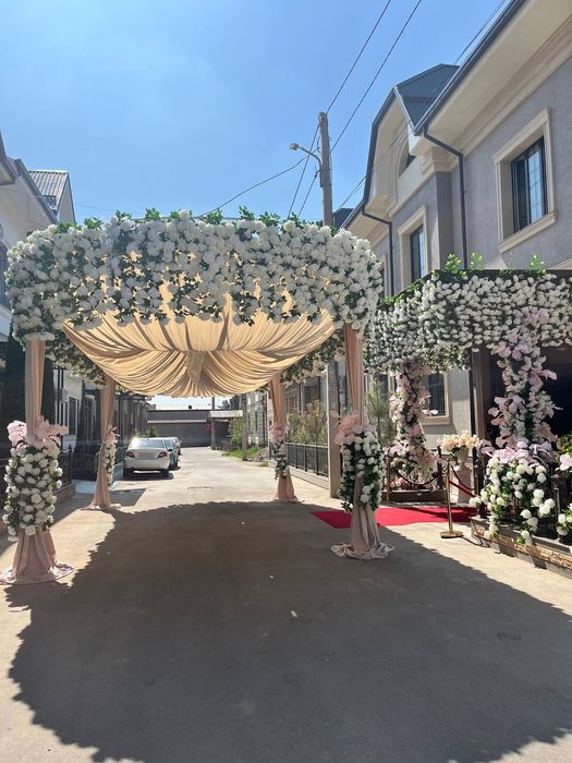 Oformleniya/Afarmleniya arzon sifatli toza