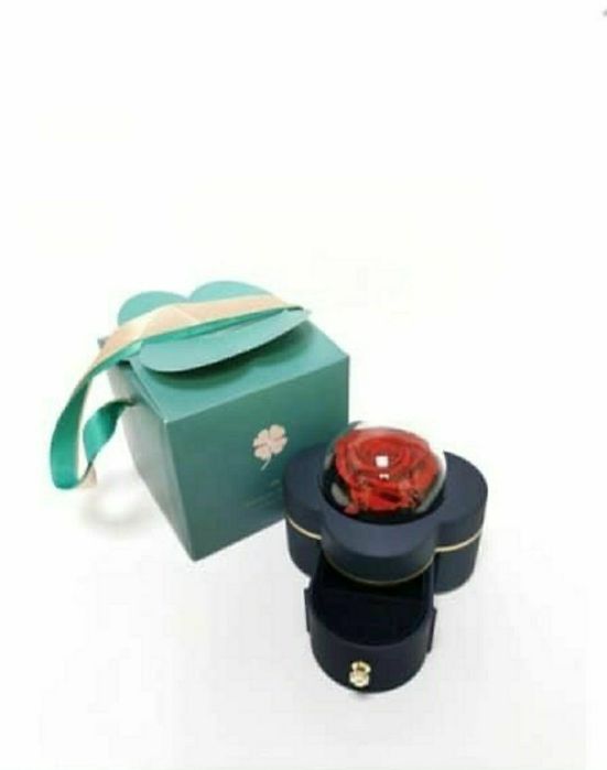 Cutie de bijuterii cu trandafir criogenat +lănțisor inima