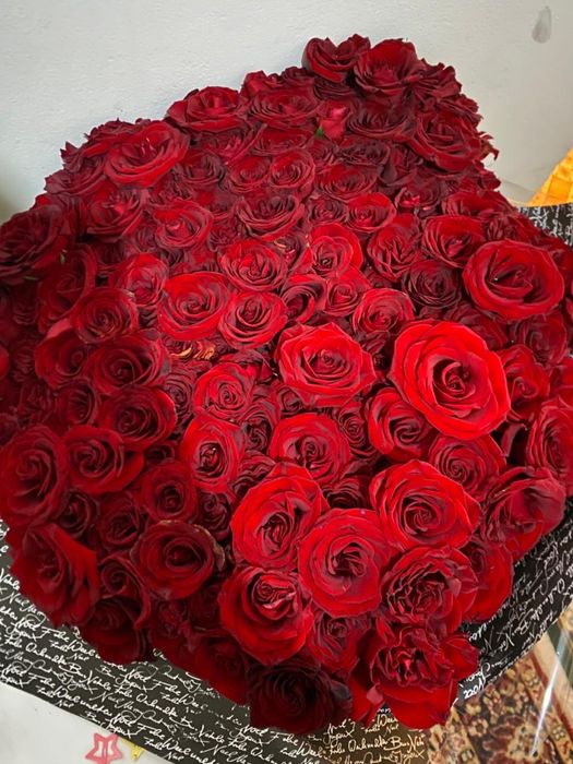 151 розы красные свежий