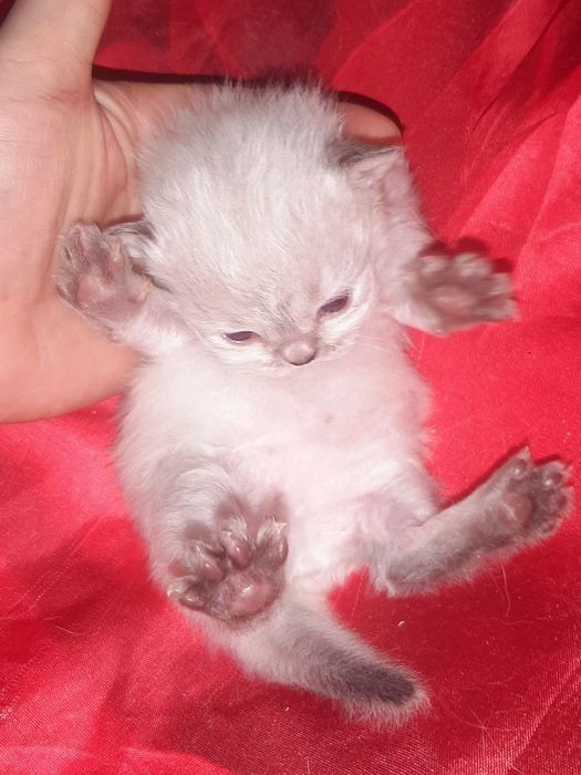 Не на поток вязка. 1 на 1 . Без толпы