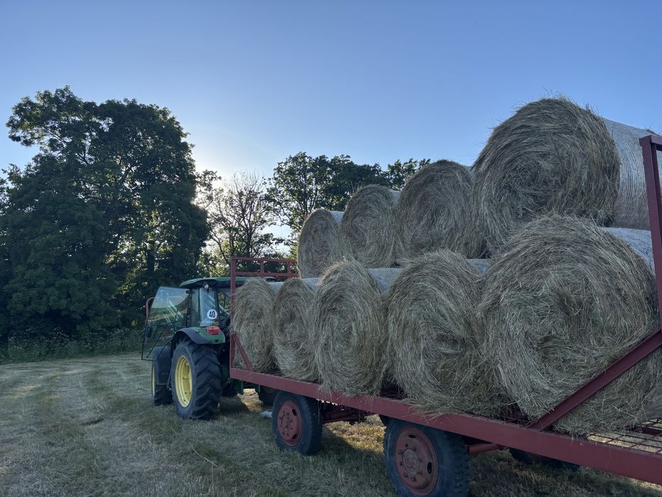 Baloti fan si lucerna