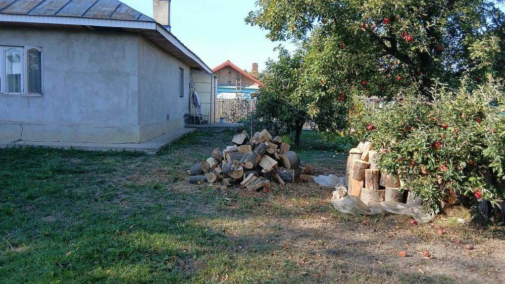 Teren de vanzare -Margineni, Barati