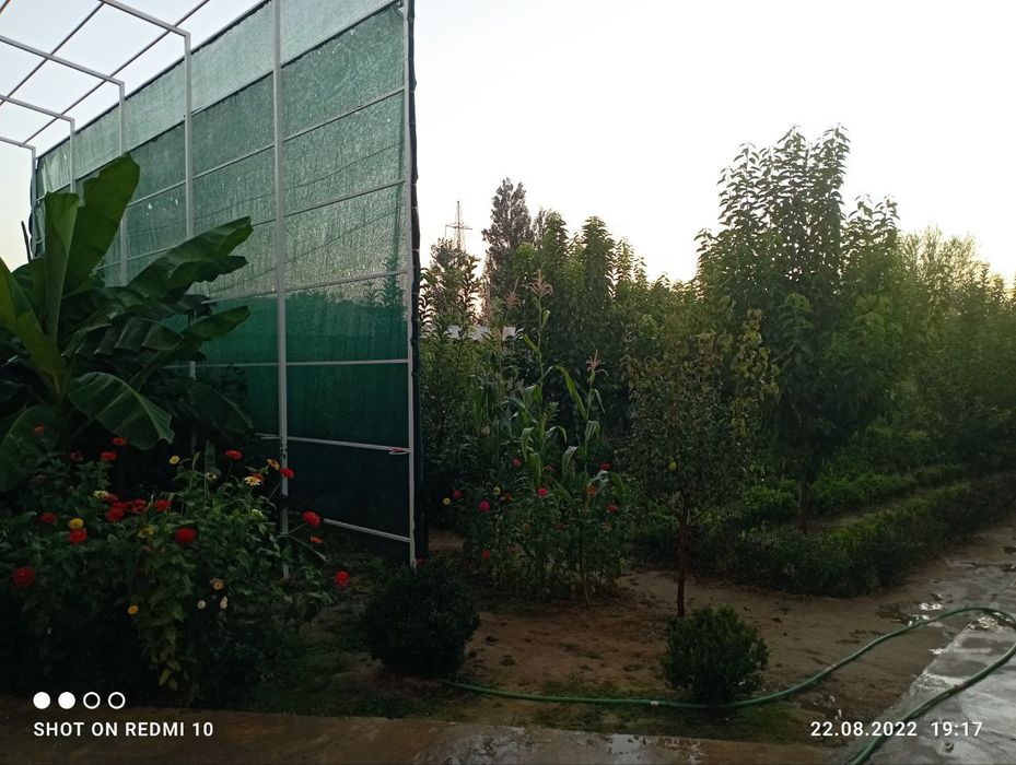 Участка сотилади маданият махалла