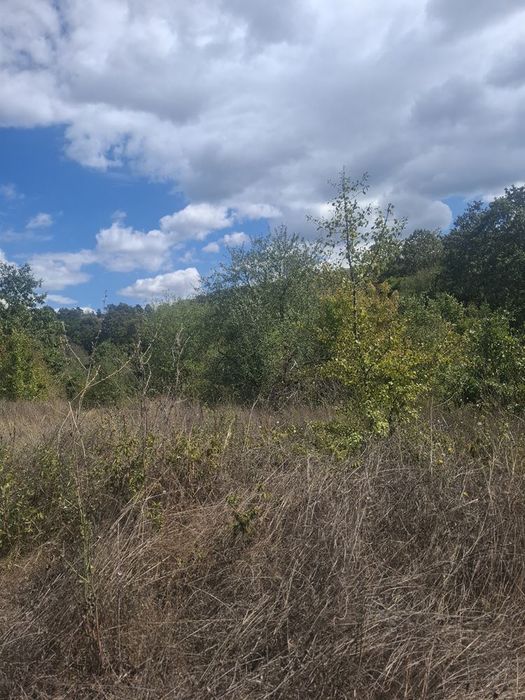 Парцел в Варна- площ 727 цена 24000