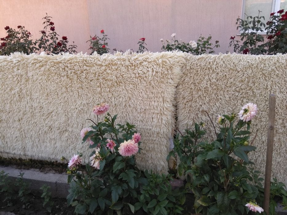 Губери нови 100 % вълна.