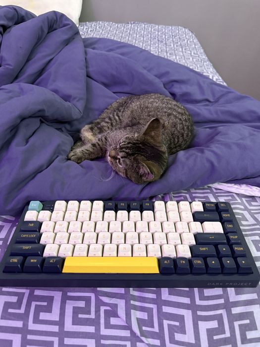 Клавиатура механическая