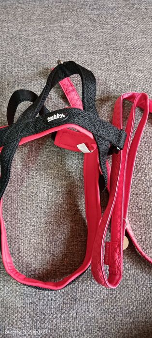 Ham si lesa pentru căței