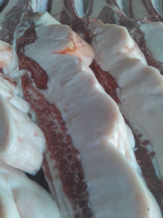 Продам мясо конина по частям