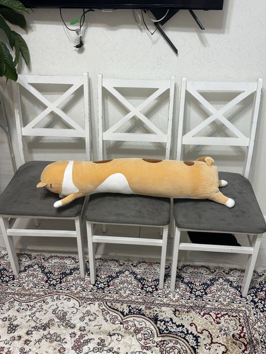 Продам стулья для красивого интерьера