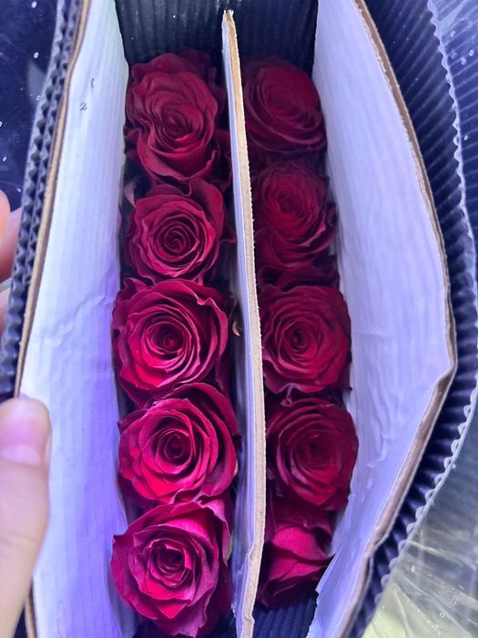 Цветы на 8 марта оптом и розница