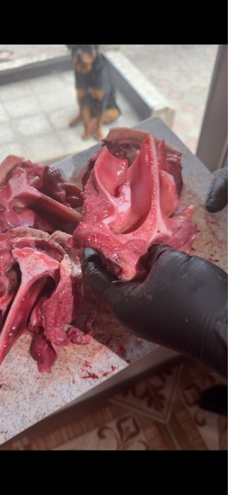 Мясная обрезь для собак