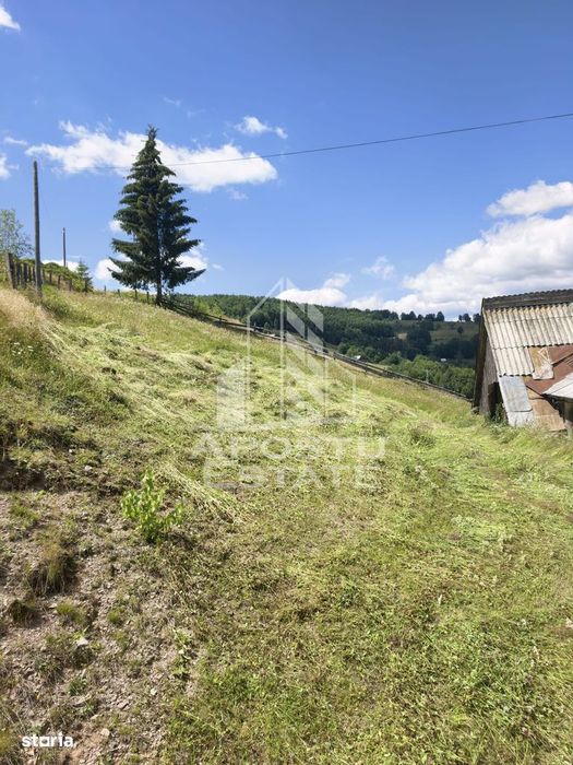 Casă de vacanță la Arieșeni/2 km de Pârtia Vârtop/280MP/1000MP TEREN