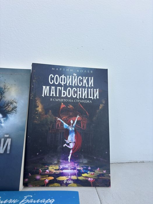 Романи на български език