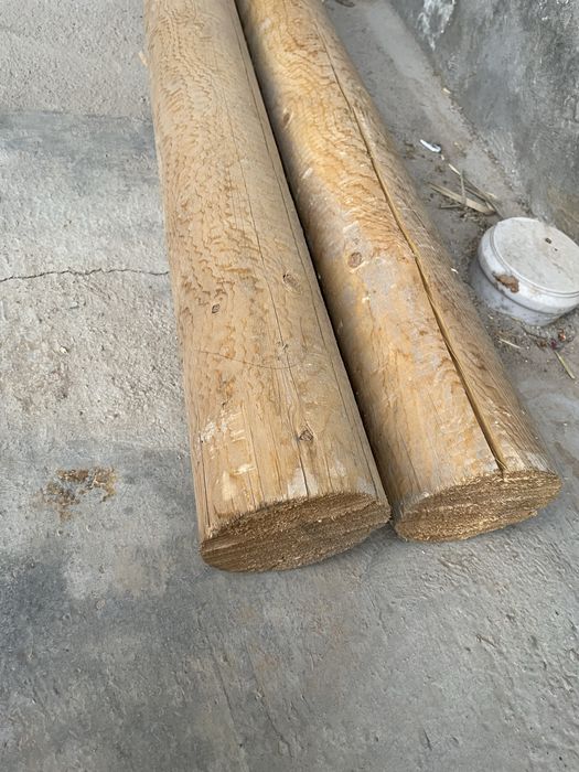 Сасна дарахтидан тайёрланган махсулотлар