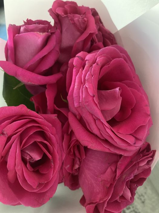 Букет цветы подарок