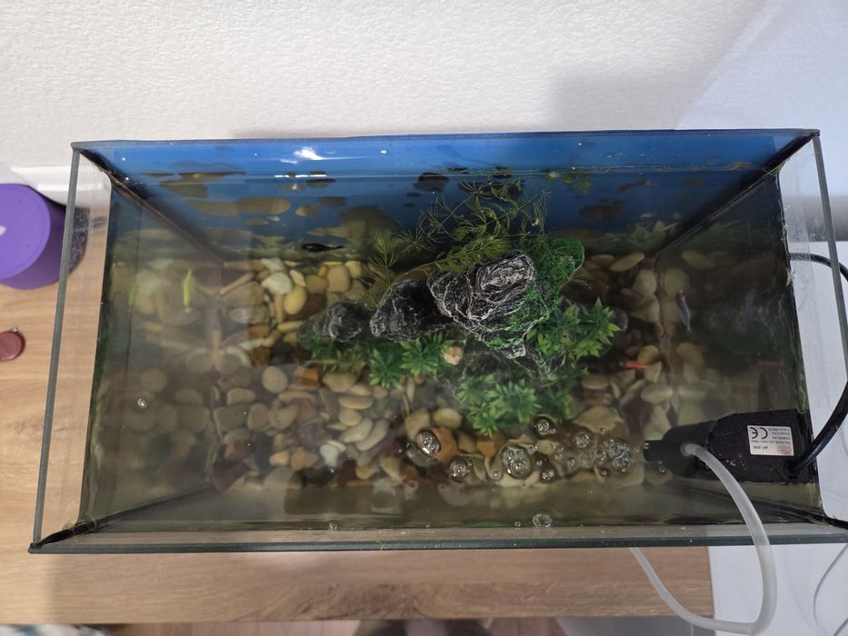 Продается аквариум с рыбками