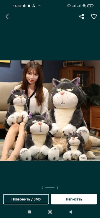 Pissing mushuk foto jinsiy aloqa