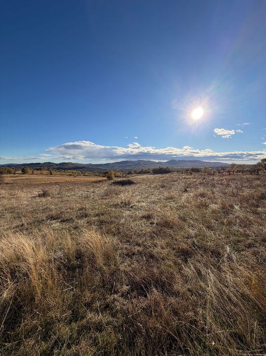 Teren de vis Horezu 10 000m