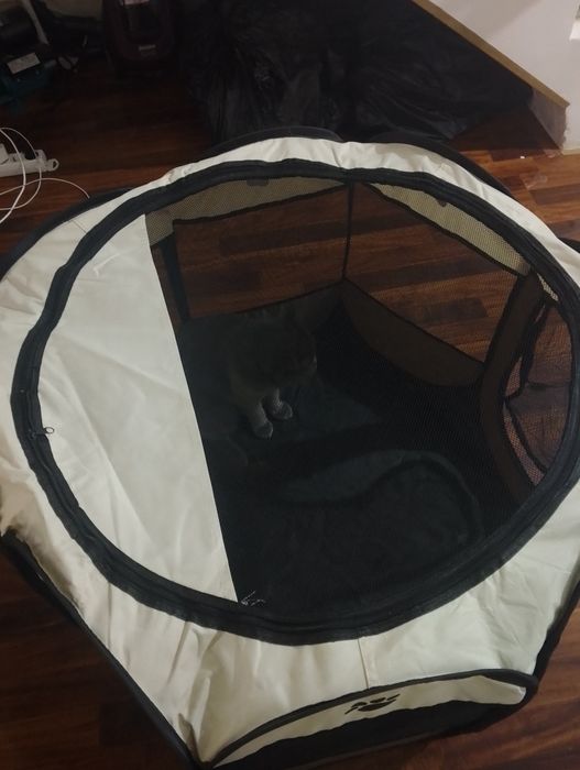 Мушуклар она болалар учун