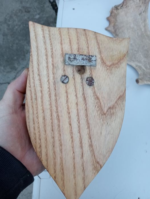 Anomalie și un corn