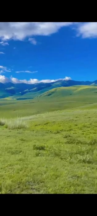 Фазенда сатылады